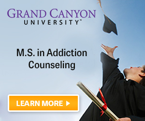 Addiction counselling business plan